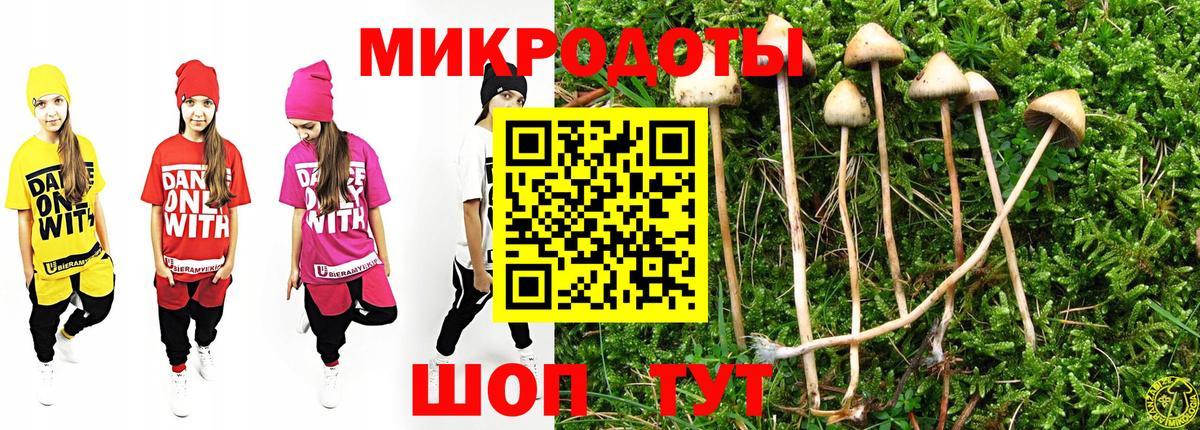 Галлюциногенные грибы Magic Shrooms Гатчина