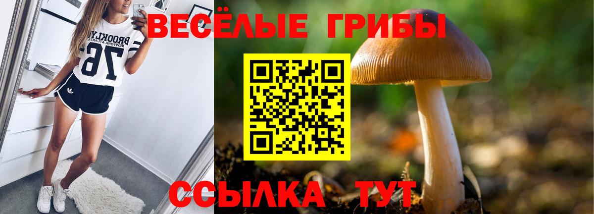 Гатчина  Галлюциногенные грибы MAGIC MUSHROOMS  Вход с VPN 